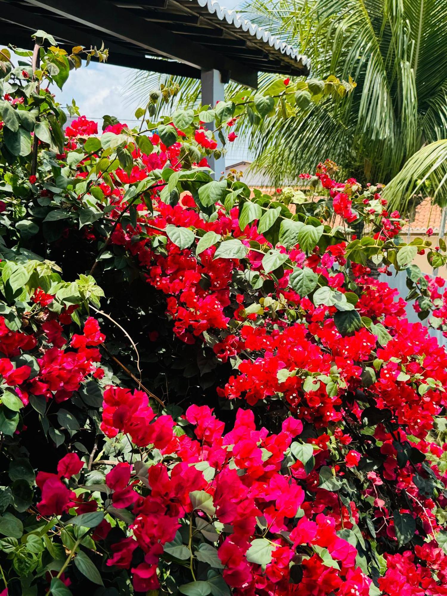 Casa Dos Girassois Villa Praia de Pipa Eksteriør bilde